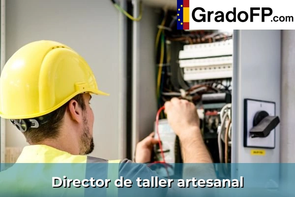 Director de taller artesanal
