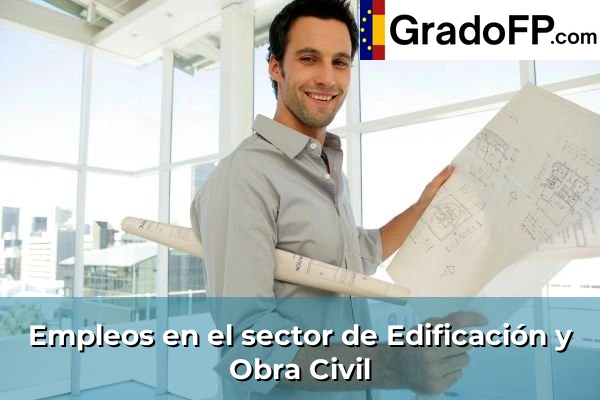 Empleo en Sanidad 117 Empleo en Edificación y Obra Civil