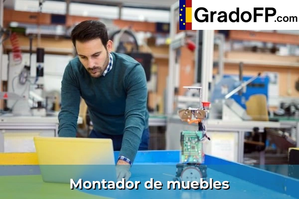 Carpintero 104 Montador de muebles
