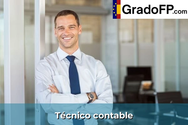 Técnico contable
