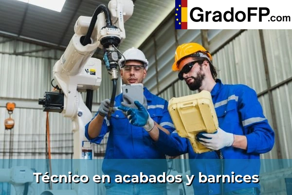 Carpintero 107 Técnico en acabados y barnices