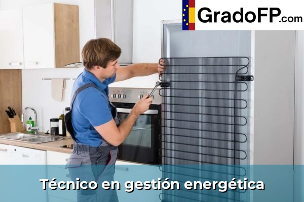 Técnico en gestión energética