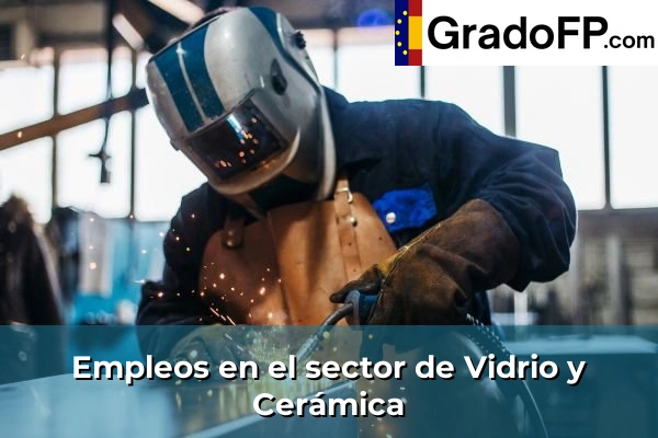 Empleo en Sanidad 135 Empleo en Vidrio y Cerámica
