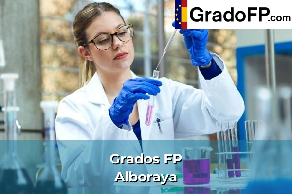 Grados FP en Massanassa 87 Grados FP en Alboraya