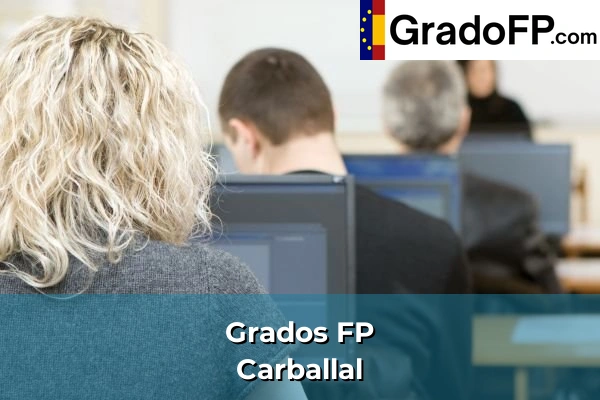Grados FP en Vilanova 132 Grados FP en Carballal