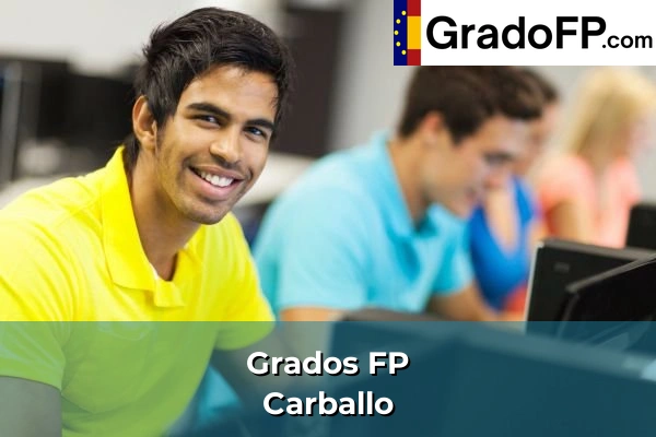Grados FP en Vilanova 134 Grados FP en Carballo