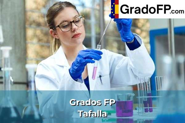 Grados FP en Tafalla